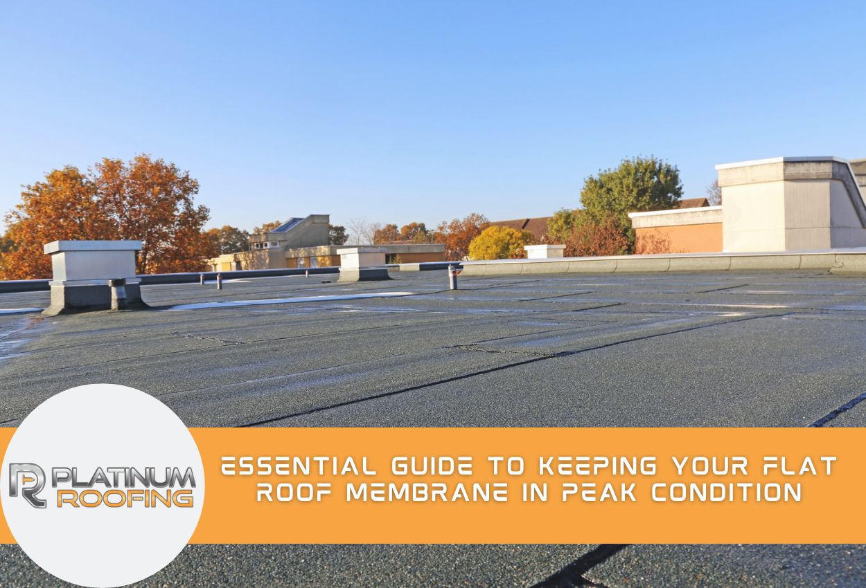 Essential Guide to Keeping Your Flat Roof Membrane in Peak Condition