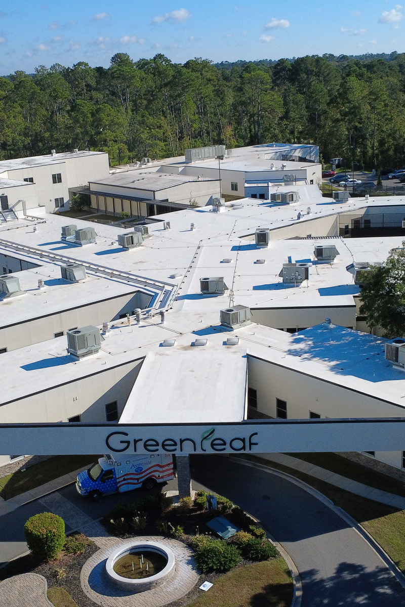 GreenLeaf 3